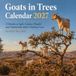 Goats in Trees Calendar 2027