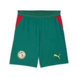 PUMA Sportbroek 'Senegal' geel / donkergroen / rood