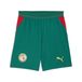 PUMA Sportbroek 'Senegal' geel / donkergroen / rood