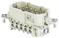 Connector, Wieland Electric 70.312.1040.0 Stekker inzetstuk Totaal aantal polen 10 10 stuk(s)