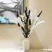 Unyqoos® Set de pampa séchée et de fleurs séchées