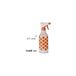 Use plasticos Spuitpistool, 0,5 l