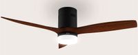 Evvo V552 Zilver, Hout Plafondventilator met verlichting