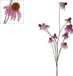 Merkloos Kunstbloem echinacae purple, 123 cm