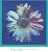 Your Decoration B.V. Impression d'art Andy Warhol - Daisy 1982 90x90cm