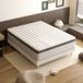 Dewinner Lit 160x200cm avec Matelas Hybride 25cm 7 Zones, Mousse à Mémoire de Forme et Ressorts Ensachés, Dureté Moyenne, et Sommier Tapissier 2x14 Lattes