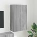 Prolenta Maison Exclusive Meuble TV mural exclusif - 59,5 x 31 x 100 cm, panneaux de particules imitation bois Sonoma gris