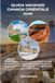 GUIDE DE VOYAGE CANADA ORIENTAL 2026