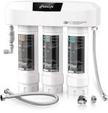 Système de filtration d'eau sous évier sans marque - Certifié, filtration de 0,5 micron pour eau pure