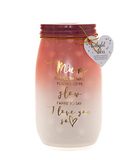 Boxer Gifts Mum I Love You So Light-Up Twilight Jar