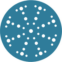 Proline Prof Schuurschijf Ø150mm - 120 Grit - 10 stuks - ACTIE 4+1