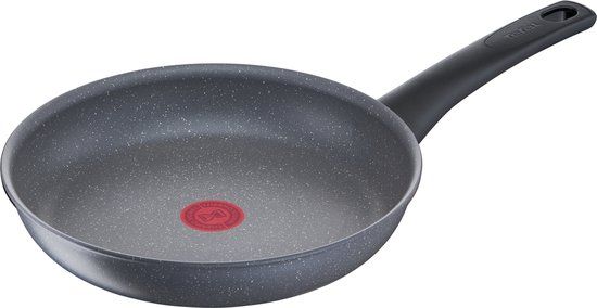 Tefal Healthy Chef Koekenpan - 24 cm - Grijs