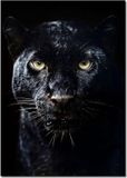 Merkloos / Sans marque Wan GmbH Canvas Poster - Muur Art - Woonkamer Decoratie - Hoge Resolutie - 50x70cm - Zwart Wit
