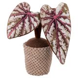 VDE Villa d'Este Home Tivoli 1998 Kunstmatige cactus deurstopper 1 kg van stof Garden