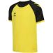 Hummel kindersportshirt Hmlmatch League Jersey S/S Kids 233154