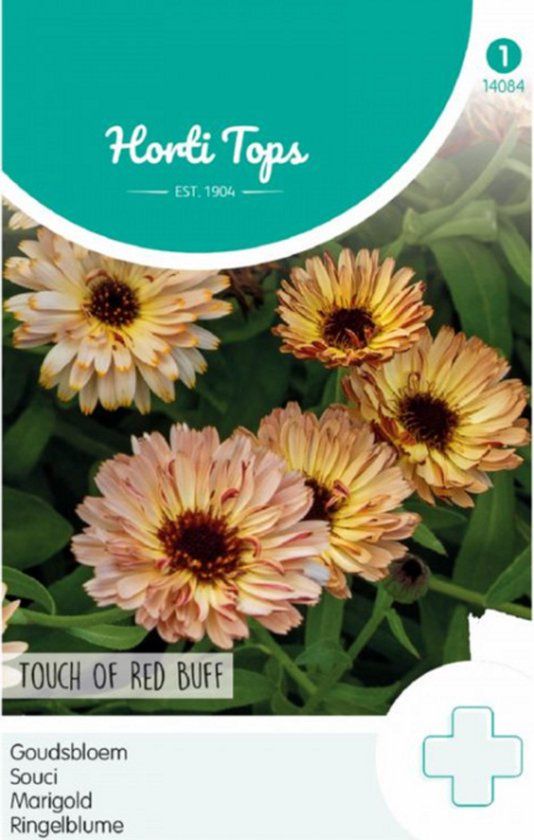 Hortitops Zaden goudsbloem touch of red buff 0.75 gram