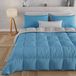 Housse de couette d'hiver 260x270 cm, double face, antiallergique, 300 g/m²