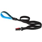 Ferplast Hondenriem Nylon Sport Dog Matic G25/120 Blauw