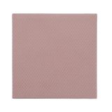 Thermal Grizzly Minus Pad 8 Thermisch pad 100 mm x 100 mm x 3 mm