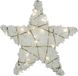 Countryfield Kerstster mit 20 LEDs warm-weiß Schnee Glitzergold