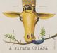 A Oqo Editora A xirafa Oriana Paperback