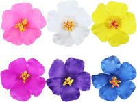 Sans marque 6pcs pinces à cheveux fleur hawaïenne