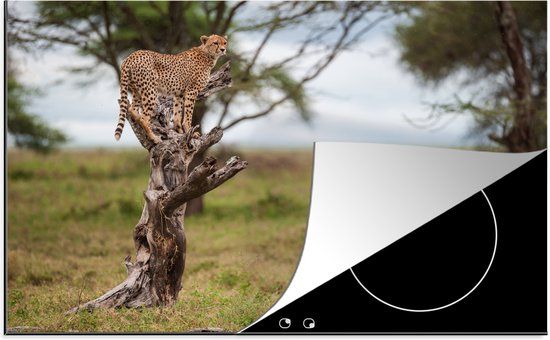 KitchenYeah® Inductie beschermer 77x51 cm - Cheeta uitkijkend over grasveld - Inductiebeschermer