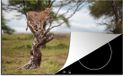 Merkloos KitchenYeah® Inductie beschermer 77x51 cm - Cheeta uitkijkend over grasveld - Inductiebeschermer