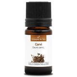Karwei Carvi (Carum Carvi) Bio Etherische Olie 5 ml