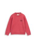 Tom Tailor - Oversized gebreide trui met print - Berry Red