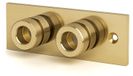 Thermostatische douchebevestiging, geborsteld goud