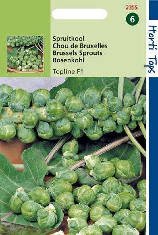 Hortitops Zaden - Spruitkool Topline F1 Hybride