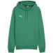 PUMA teamGOAL Casuals hoody-sweatshirt voor heren, 658618 groen