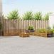 vidaXL - Bank loungeset - 8 zitplekken - Naturel - Massief Acacia Hout