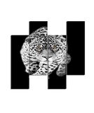 Homemania Feline muurschildering, 4 delen, dieren, voor woonkamer, kinderkamer, meerkleurig, 76 x 0,3 x 50 cm, HM204PMDF240, MDF