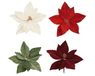 Everlands Poinsettia op clip polyester fluweel V