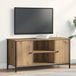 Maison Exclusive - Meuble TV, dimensions 100 x 40 x 50 cm, en panneaux de particules imitation chêne massif