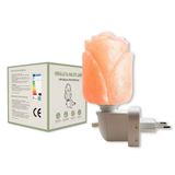 Melvy Himalaya Nachtlampje Flora - Zoutlamp - Wandlamp - 14 cm - Roze/Oranje