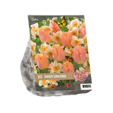 Baltus Urban Flowers - Sweet Lingery per 10 Baltus