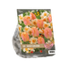 Baltus Urban Flowers - Sweet Lingery per 10 Baltus