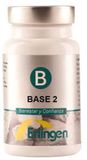 Erlingen Base 2 60 Comp