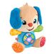 Fisher-Price JFD27 Toy