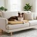 Italian Bed Linen Maxy Hondenkussen, elegant, gewatteerd, gewatteerd, voor honden en katten, 60 x 100 cm, crèmekleurig