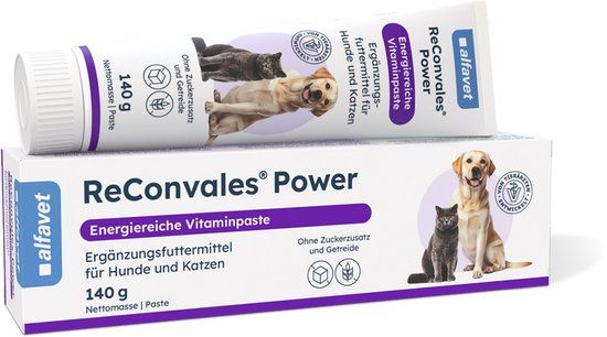 Alfavet ReConvales Power - 140 g