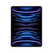 Apple iPad Pro / WiFi / 256 GB / Zilver