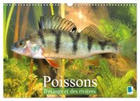 Poissons CALVENDO Poissons : d'étangs et des rivières (Calendrier mural 2027 DIN A3 vertical), CALVENDO calendrier mensuel