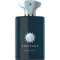 Amouage Enclave Eau de Parfum / 100 / Unisex