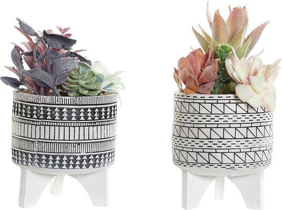 DKD Home Decor Cactus Decorative Plant - 11 x 11 x 21 cm (2 Pieces)