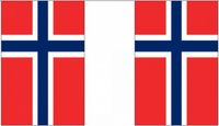 Merkloos / Sans marque Shoppartners Bv Noorwegen vlaggetjes vlaggenlijn - 900 cm - polyester stof - binnen en buiten - landen versiering