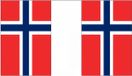 Merkloos / Sans marque Shoppartners Bv Noorwegen vlaggetjes vlaggenlijn - 900 cm - polyester stof - binnen en buiten - landen versiering